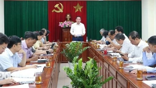 Trước khi sáp nhập tỉnh, 9 huyện của Đồng Nai phải hoàn thiện hồ sơ điều chỉnh quy hoạch sử dụng đất đến năm 2030