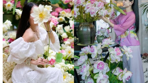 Mê mẩn không gian sống đầy ắp hoa sen của đôi bạn Hà Nội, Hải Phòng
