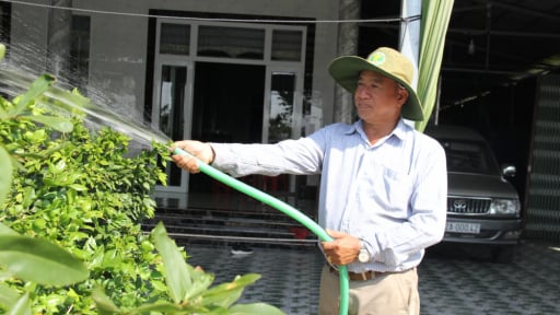 Cả làng ở Long An phục lăn một nông dân làm giàu tại nơi 'cỏ mọc thành tinh, rắn đồng biết gáy' như chim cu