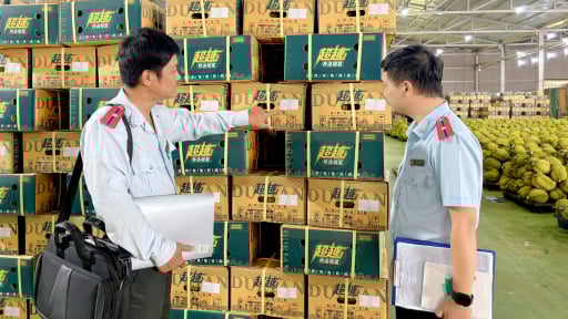 Đâu là “chìa khóa” giúp sầu riêng Đắk Lắk giữ vững thị trường?