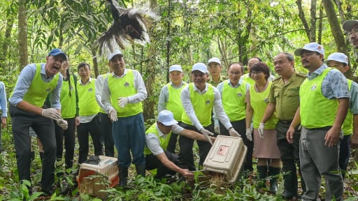 Thả động vật hoang dã quý hiếm vào một khu rừng nổi tiếng Ninh Bình nhân ngày Quốc tế Đa dạng sinh học
