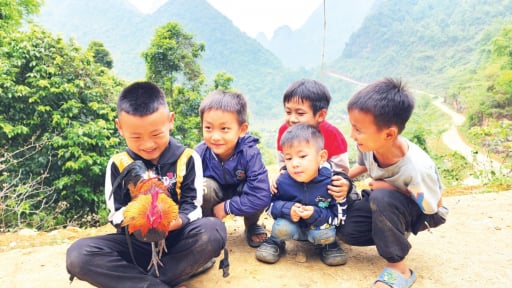 Con động vật hoang dã này nuôi như gà ta, trẻ em Cao Bằng bế đi chơi như thú cưng