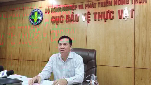 Một Cục trưởng của Bộ Nông nghiệp và Môi trường nói về chuẩn hóa xuất khẩu sầu riêng, 'đường dài mới biết ngựa hay'