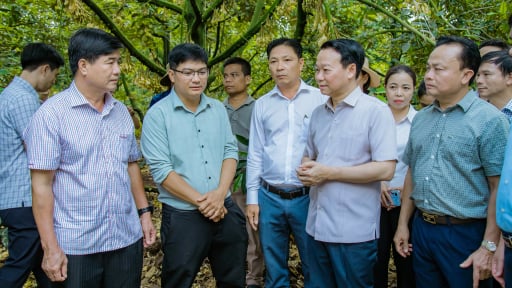 Quyền Chủ tịch UBND tỉnh Đắk Lắk kiến nghị Bộ Nông nghiệp và Môi trường hoàn thiện tiêu chuẩn cho trái sầu riêng