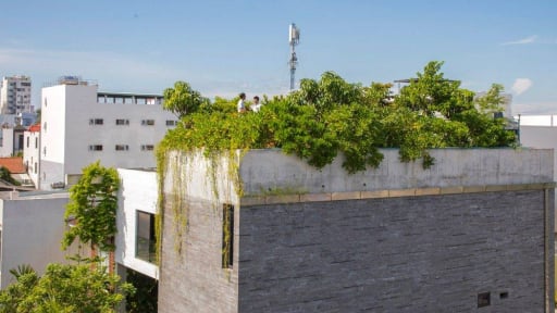Khám phá nhà phố '4 hộp' ở Đà Nẵng: Không gian sống chan hòa thiên nhiên