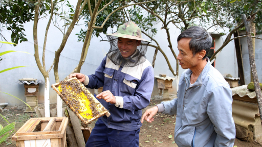 Lai Châu: Người dân bản Sơn Hà làm giàu từ mô hình kinh tế tổng hợp