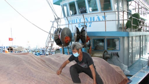 Vì sao thời điểm này trong năm dân Ninh Thuận hễ ra biển là bắt la liệt cá nhái, cá nục, cá sơn thóc, mang về là lãi đậm?