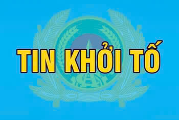 Bắt Chủ tịch và Tổng Giám đốc Công ty Sona cùng Giám đốc Công ty Incoop 3 vì liên quan vụ Công ty xuất khẩu lao động Hoàng Long