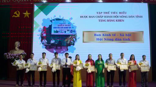 Bắc Kạn: Nhiều tập thể, cá nhân nhận bằng khen điển hình tiên tiến, sản xuất kinh doanh nông sản, thực phẩm an toàn