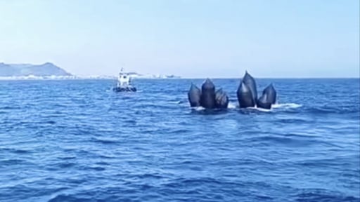 Thợ lặn đồng ý tiếp tục trục vớt phương tiện vụ chìm xà lan làm 9 người chết và mất tích để đưa vào bờ