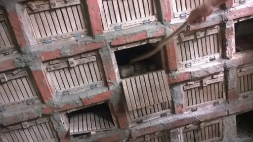 Đề xuất ban hành danh mục các loài có khả năng gây nuôi sinh sản vì mục đích thương mại