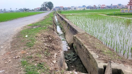 Vô số công trình thủy lợi bị hư hỏng ở Hải Phòng