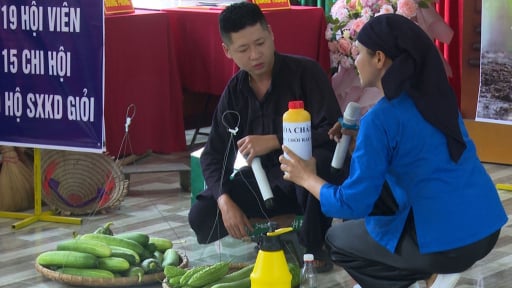Thực hiện sản xuất nông sản thực phẩm an toàn, nông dân Bắc Kạn có thêm nhiều sản phẩm OCOP