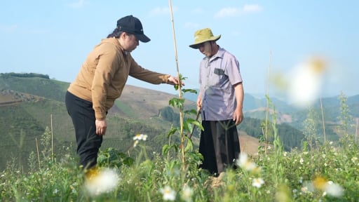 Đưa cây ăn quả lên đất dốc, cuộc sống bà con nơi biên giới đổi thay từng ngày