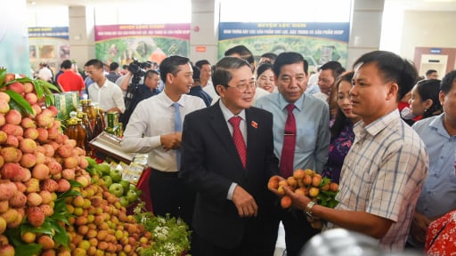 Mở 'cửa khẩu xanh', đưa trái vải thiều tươi ngon Bắc Giang đến tay người tiêu dùng nhanh nhất 