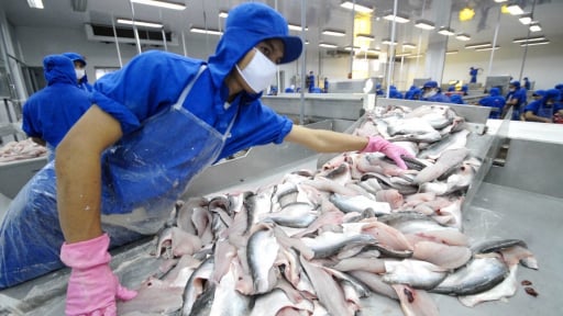 'Ông lớn' trong ngành thủy sản bất ngờ thắng lớn nhờ bán phụ phẩm của một loài cá nuôi nhiều ở miền Tây