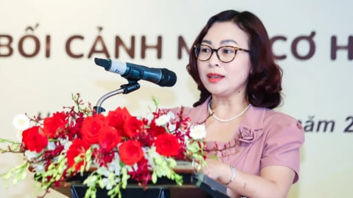 Bộ Xây dựng: Quỹ nhà ở quốc gia chỉ hỗ trợ nhà xã hội cho thuê
