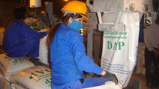 Hiệp hội phân bón Việt Nam lên tiếng về kiến nghị cadimi trong DAP nhập khẩu của Vinacam: Sớm giải quyết để gỡ khó cho sầu riêng xuất khẩu