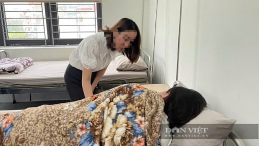 Con trai dùng ghế nhựa ném gãy tay mẹ ở Quảng Trị: Đề nghị xử phạt hành chính