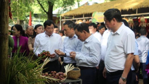 Một huyện của tỉnh Sơn La mở lễ hội cho loại trái cây đặc sản