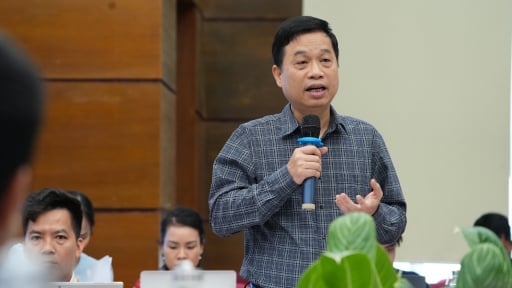 Người Việt giàu nên ở biệt thự nơi ngoại thành, dành trung tâm thành phố làm nhà ở xã hội