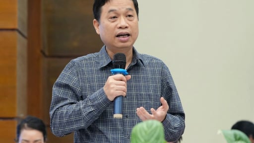 Người Việt giàu nên ở biệt thự nơi ngoại thành, dành trung tâm thành phố làm nhà ở xã hội