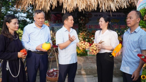 Đến chợ phiên nông sản an toàn tỉnh Bắc Ninh 2025, du khách được trải nghiệm cảnh đẹp, thưởng thức nông sản an toàn