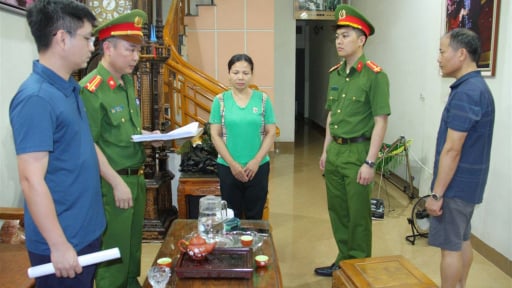 Vụ phát hiện gần 350 tấn giá đỗ ngâm hóa chất độc hại ở Lào Cai: Khởi tố 3 bị can