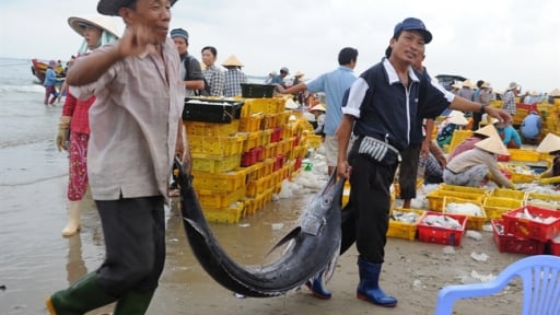 Đây là xã đóng tàu nhiều nhất, số lượng tàu đánh bắt xa bờ lớn nhất TP HCM sau sáp nhập tỉnh Bà Rịa-Vũng Tàu, Bình Dương