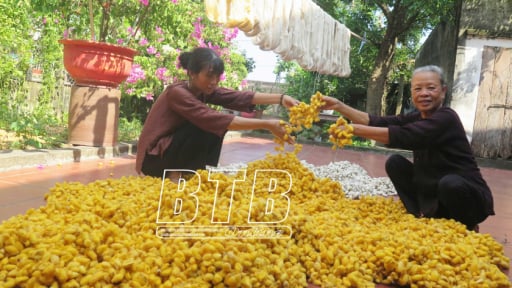 Trước giờ sáp nhập tỉnh Hưng Yên, Thái Bình làm tốt việc bảo tồn, phát triển làng nghề truyền thống, có làng nghề thu 40 tỷ/năm