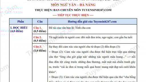 Đề thi môn Văn vào lớp 10 năm 2025 của Đà Nẵng có gợi ý đáp án 