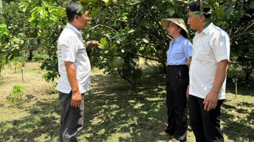 Trước giờ sáp nhập TP HCM, Bà Rịa-Vũng Tàu, tỉnh Bình Dương có huyện này dẫn đầu về một lĩnh vực quan trọng