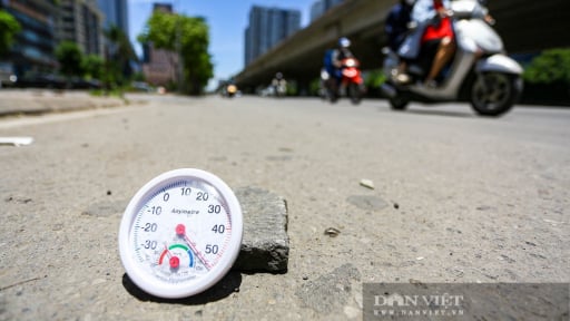 Phú Thọ: Một ngày, 7 bệnh nhân cấp cứu vì say nóng, 1 bệnh nhân nguy kịch