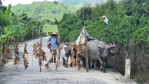 Huyện Cam Lâm (Khánh Hòa): Bị chậm cấp sổ đỏ, người dân rào chắn lối đi chung