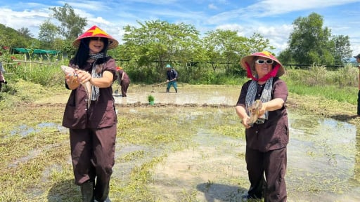 Nữ sáng lập Hợp tác xã này ở Khánh Hòa trồng cây gì trên vườn, nuôi cá gì dưới ruộng mà đến khách du lịch châu Âu cũng muốn đến?