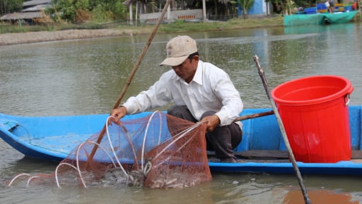 Đọc và làm theo Dân Việt, nhà nông khấm khá