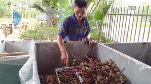 Nuôi thành công 2 con động vật, con này kêu to giật mình, con kia kêu ri ri, một người Đắk Lắk có thu nhập tốt
