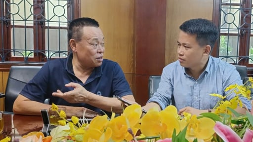 Vaccine dịch tả lợn châu Phi đã được cấp phép lưu hành, nhưng vì sao Dabaco vẫn chưa bán ra ngoài: Chủ tịch tập đoàn nói do giá còn cao