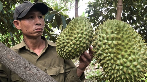 Trước giờ sáp nhập Khánh Hòa, tỉnh Ninh Thuận có một xã nông thôn mới nâng cao, thu nhập bình quân đầu người đạt 61 triệu đồng/năm
