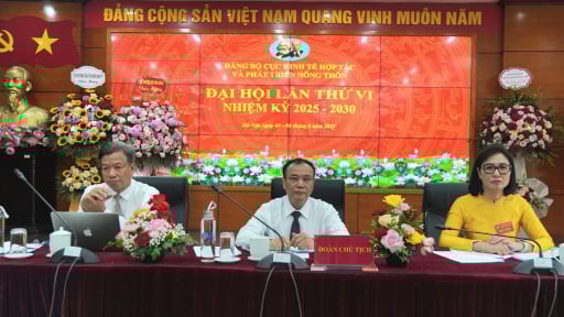 Chỉ đạo Đại hội Đảng bộ Cục Kinh tế hợp tác và PTNT nhiệm kỳ 2025-2030, Thứ trưởng Bộ TNMT Võ Văn Hưng đề nghị  'lấy hiệu quả công việc và sự thay đổi thực tế làm thước đo'