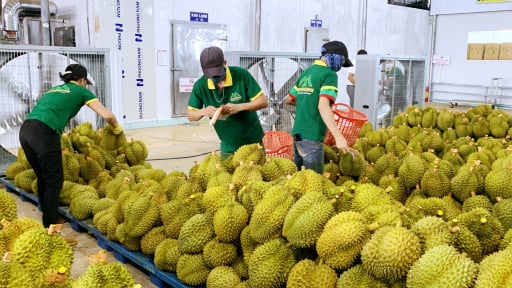 Truy nã đối tượng giả làm chủ vườn sầu riêng để lừa đảo hơn 5 tỷ đồng ở Đắk Lắk