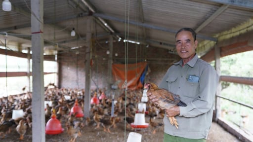 Một nông dân Hải Dương truyền cảm hứng làm giàu trước thềm sáp nhập với Hải Phòng, ông là ai?
