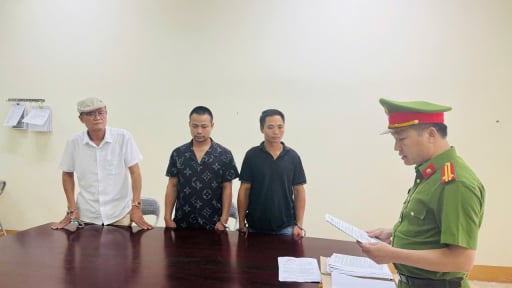 Lào Cai: Bắt tạm giam một cán bộ hải quan và 3 đối tượng khai thác gỗ trái phép