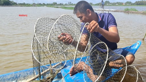 Đầu vụ, loại vật nuôi này ở Hậu Giang đang tăng giá tốt so với cùng kỳ