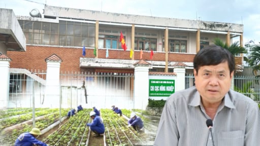 Lãnh đạo tỉnh Kon Tum 'điểm mặt' Sở NN&MT vụ báo cáo cấp mã số vùng trồng cho doanh nghiệp