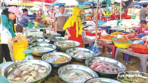 Ở một cái chợ quê ven biển Bình Thuận trên trời dưới cá tôm ngon, tha hồ chọn lựa