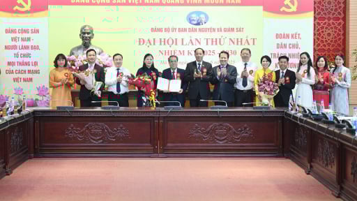 Ông Dương Thanh Bình, bà Lê Thị Nga được chỉ định chức vụ Đảng tại Đại hội Đảng bộ Ủy ban Giám giám và Dân nguyện của Quốc hội