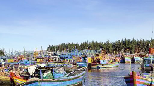Trước giờ về với TP HCM, Bình Dương, ở Bà Rịa-Vũng Tàu có hàng trăm tàu cá phải nằm bờ vì 2 nguyên nhân nào?