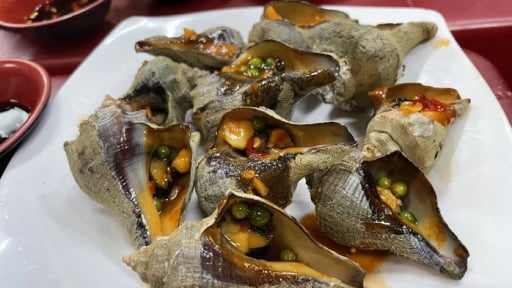 Ốc đặc sản Nha Trang là một loài hải sản lạ chỉ bò trên ghềnh đá sóng vỗ ì ầm