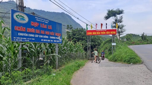 Thôn này ở Yên Bái xưa là làng nghèo, nay dân đổi đời nhờ nuôi con đặc sản to bự, có nhà là tỷ phú